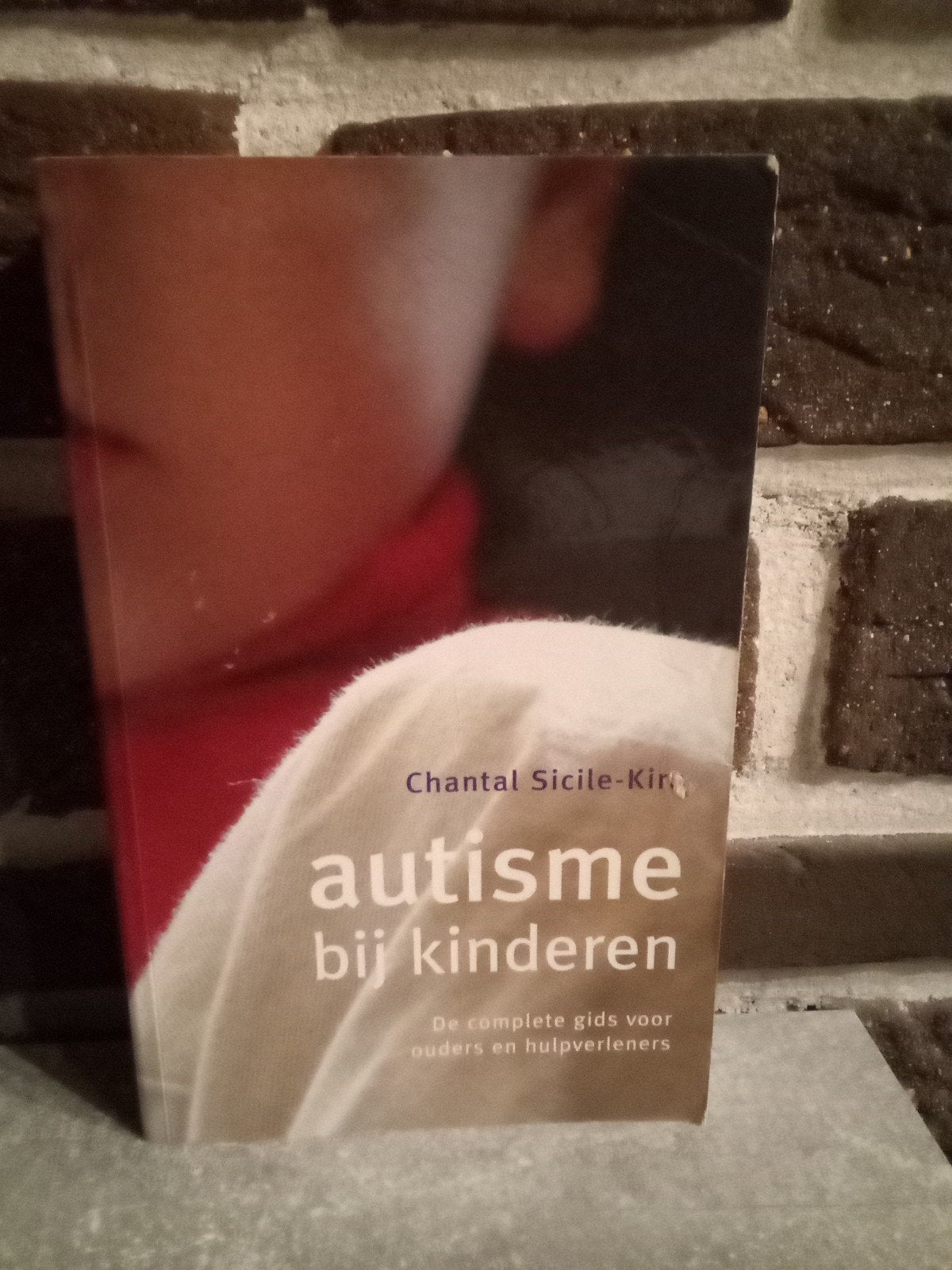 C. Sicile-Kira - Autisme bij kinderen, Boeken, Zwangerschap en Opvoeding, Ophalen, C. Sicile-Kira