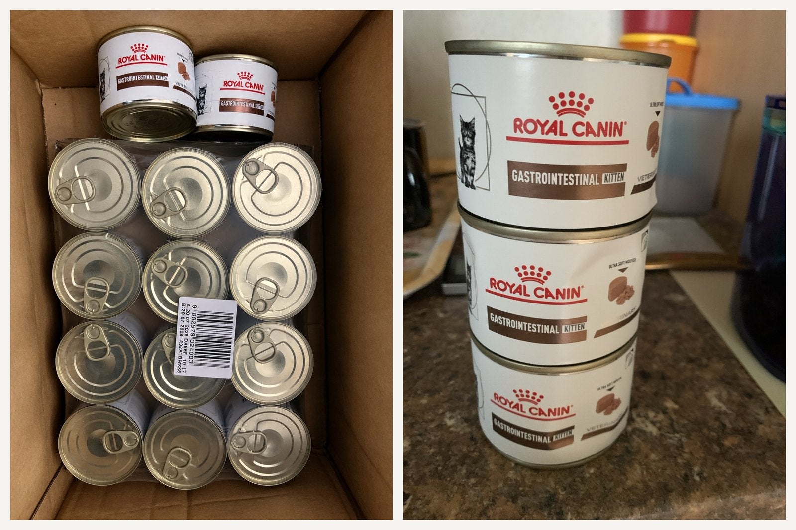 Royal Canin Gastrointestinal Kitten –, Animaux & Accessoires, Enlèvement, Neuf