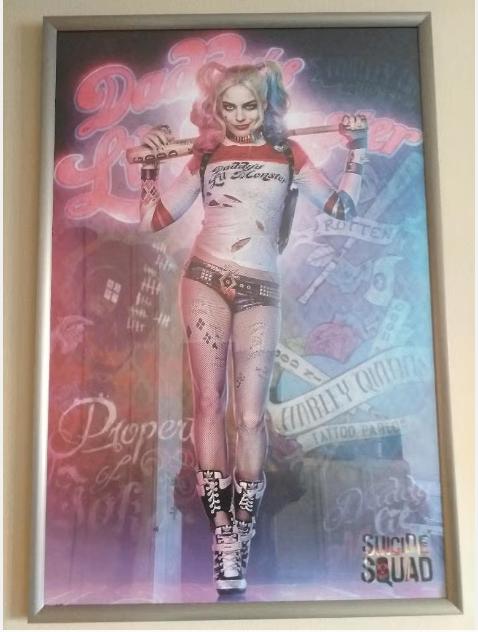 DC Posters - Harley Quinn (Framed / Unframed) (Nieuwstaat), Enlèvement, Neuf, Rectangulaire vertical, Cinéma et TV