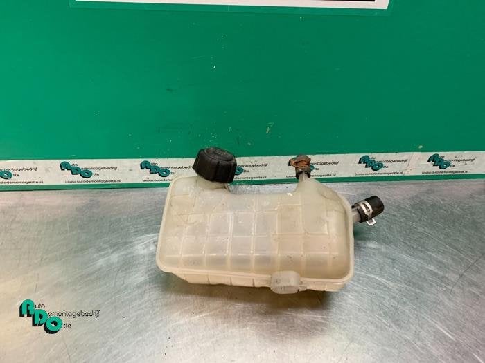 Expansievat van een Renault Megane (Megane 2 02-), Gebruikt, -, Renault, -