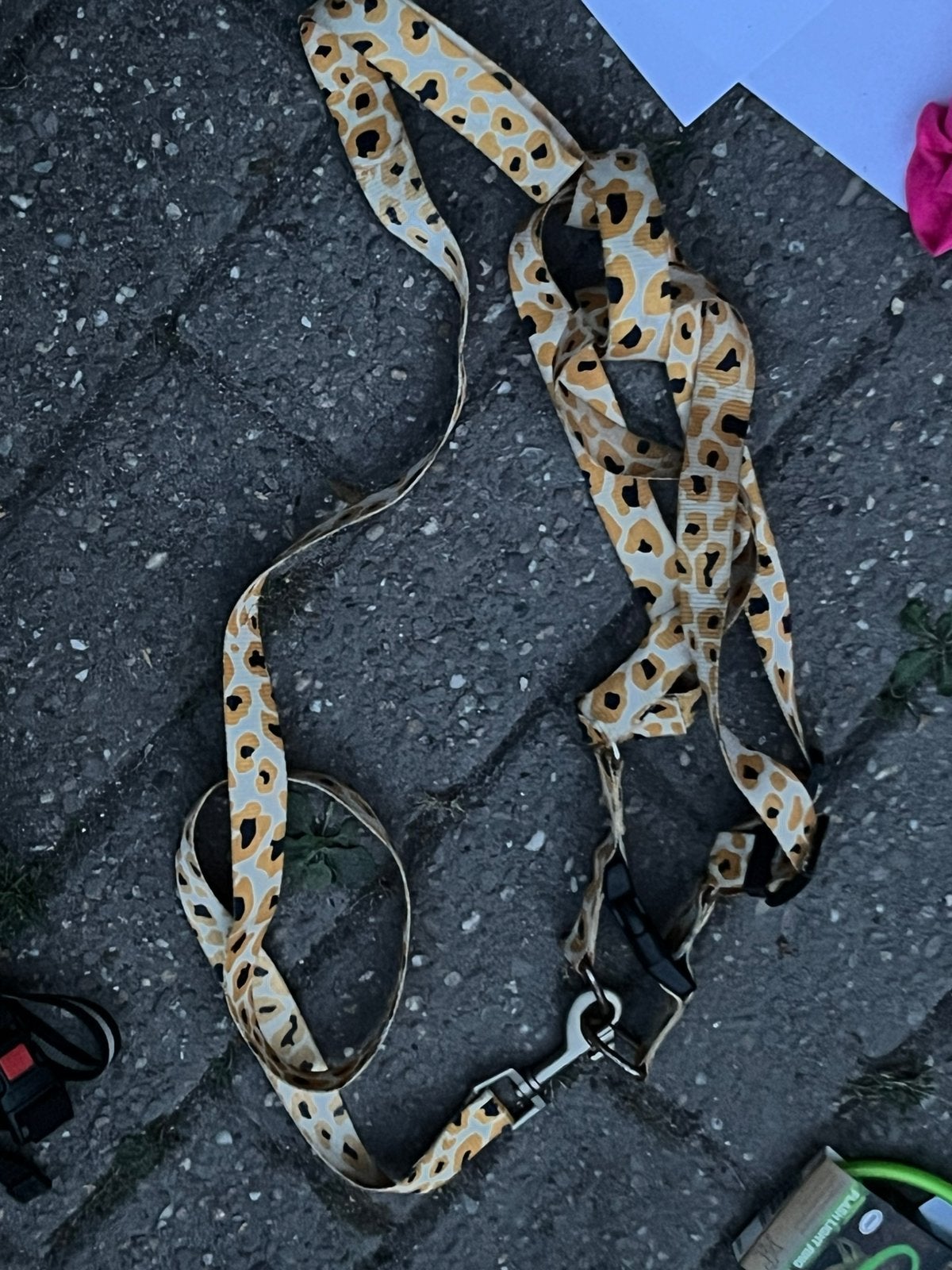Honden gareel en leiband xl, Ophalen, Zo goed als nieuw, Hondenriem