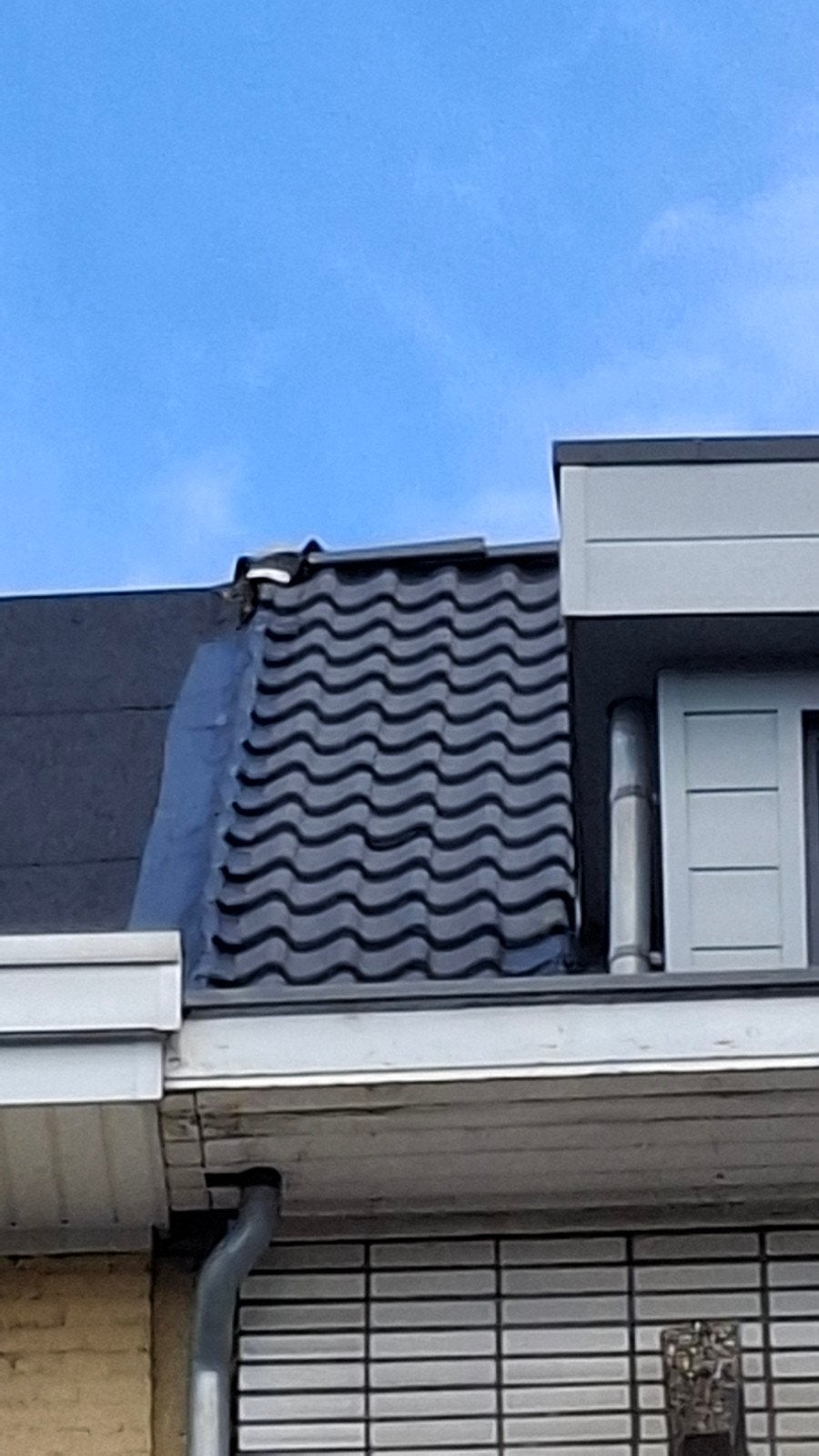 NIEUWE GRATIS Sneldek pannen-  Nelskamp S-Phanne, Enlèvement