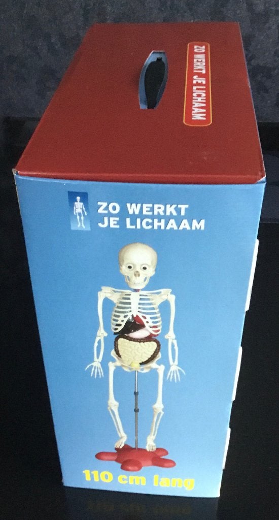 Skelet, Diversen, Ophalen, Nieuw