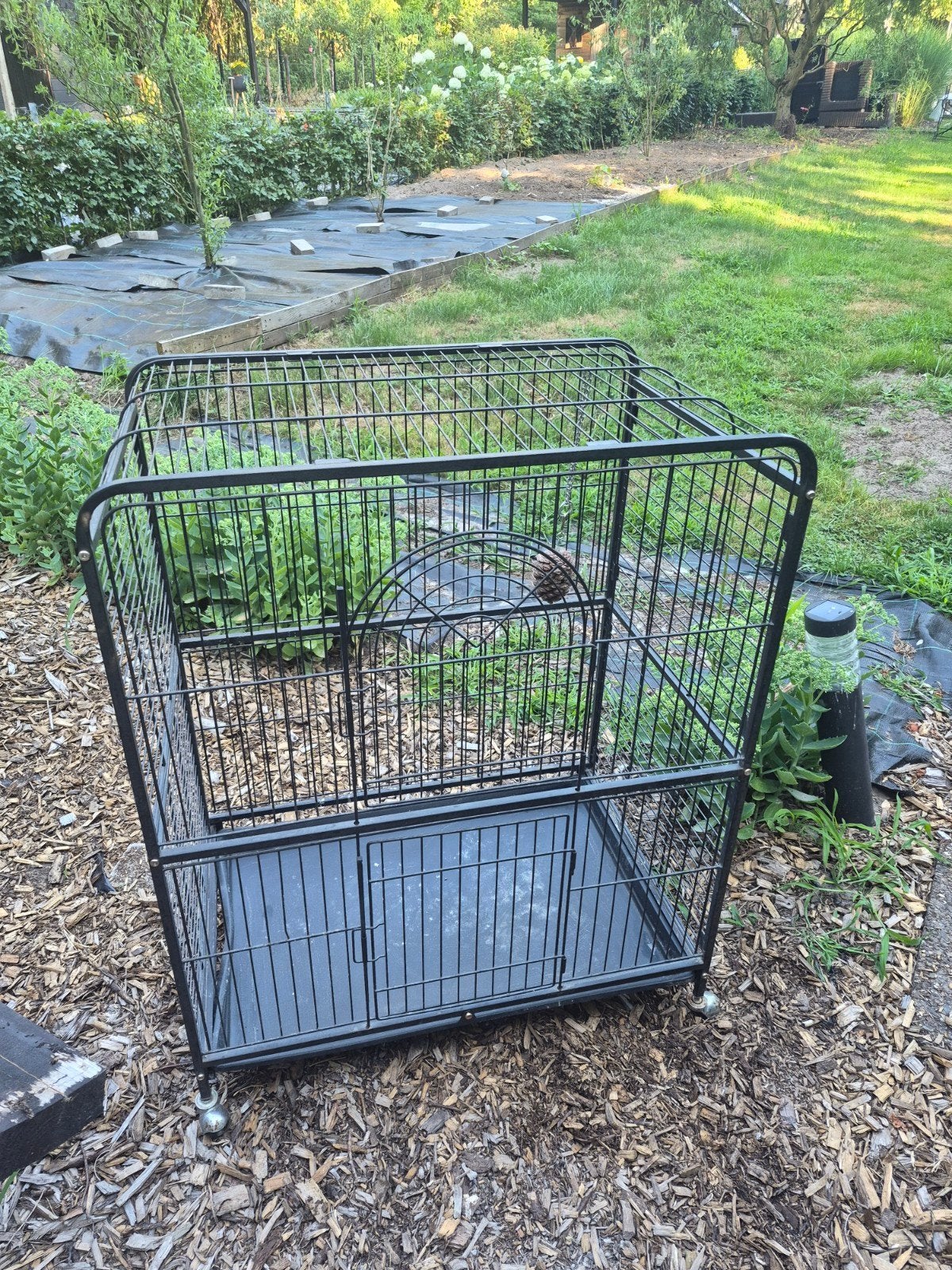 Papegaaikooi klein, Dieren en Toebehoren, Vogels | Hokken en Kooien, Ophalen