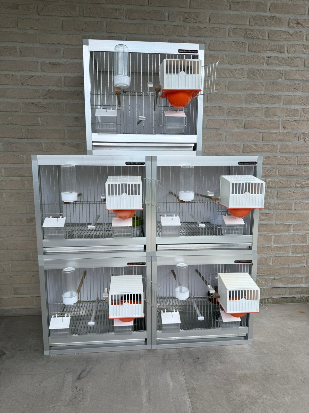 5 enkele kweekkooien; volledig ingericht; exoten zebravinken, Ophalen, Zo goed als nieuw, Aluminium
