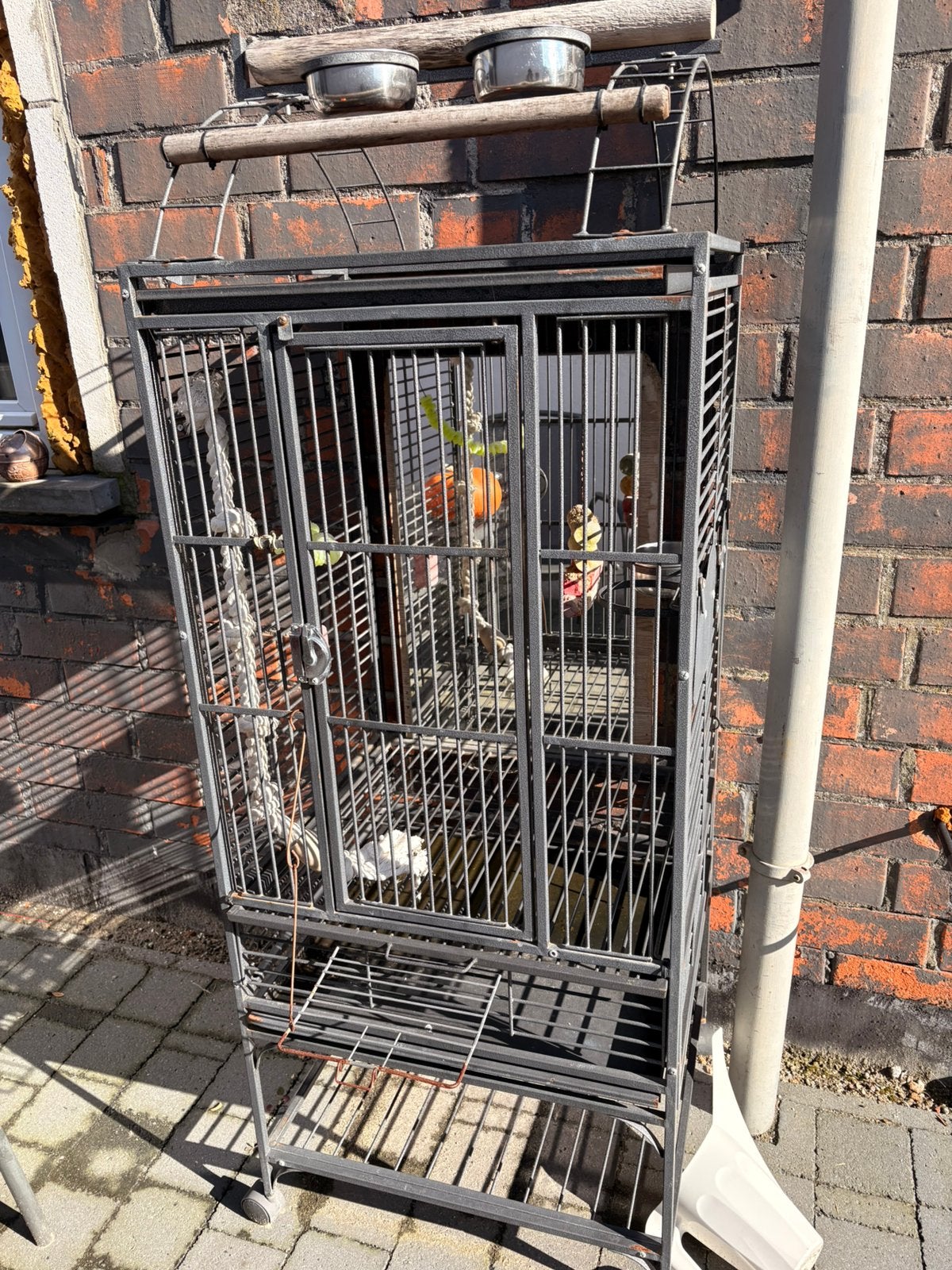 Te koop vogelkot, Enlèvement, Utilisé, Métal, Cage à oiseaux