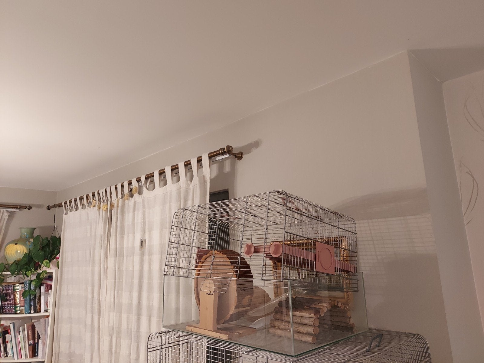Cage hamster, Animaux & Accessoires