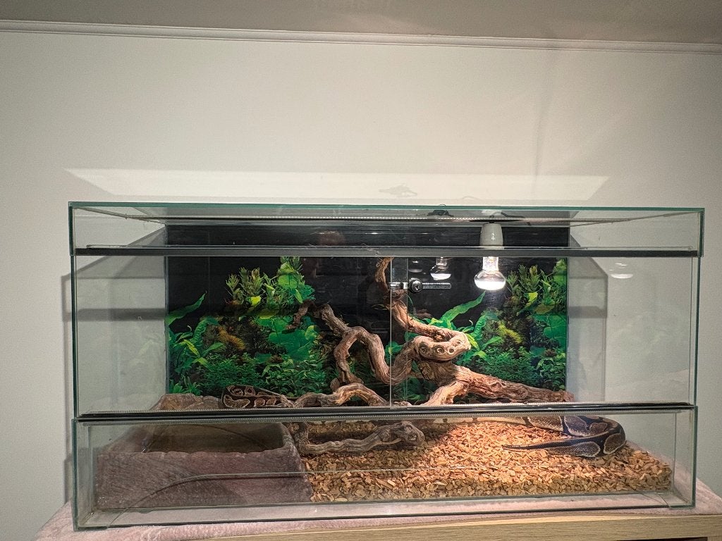 Vivarium, Enlèvement