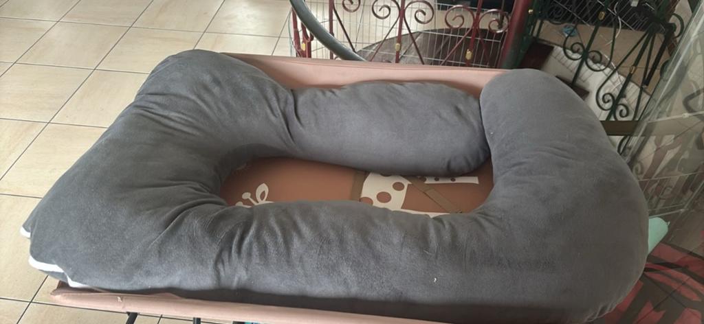 Coussin d'allaitement, Enlèvement ou Envoi