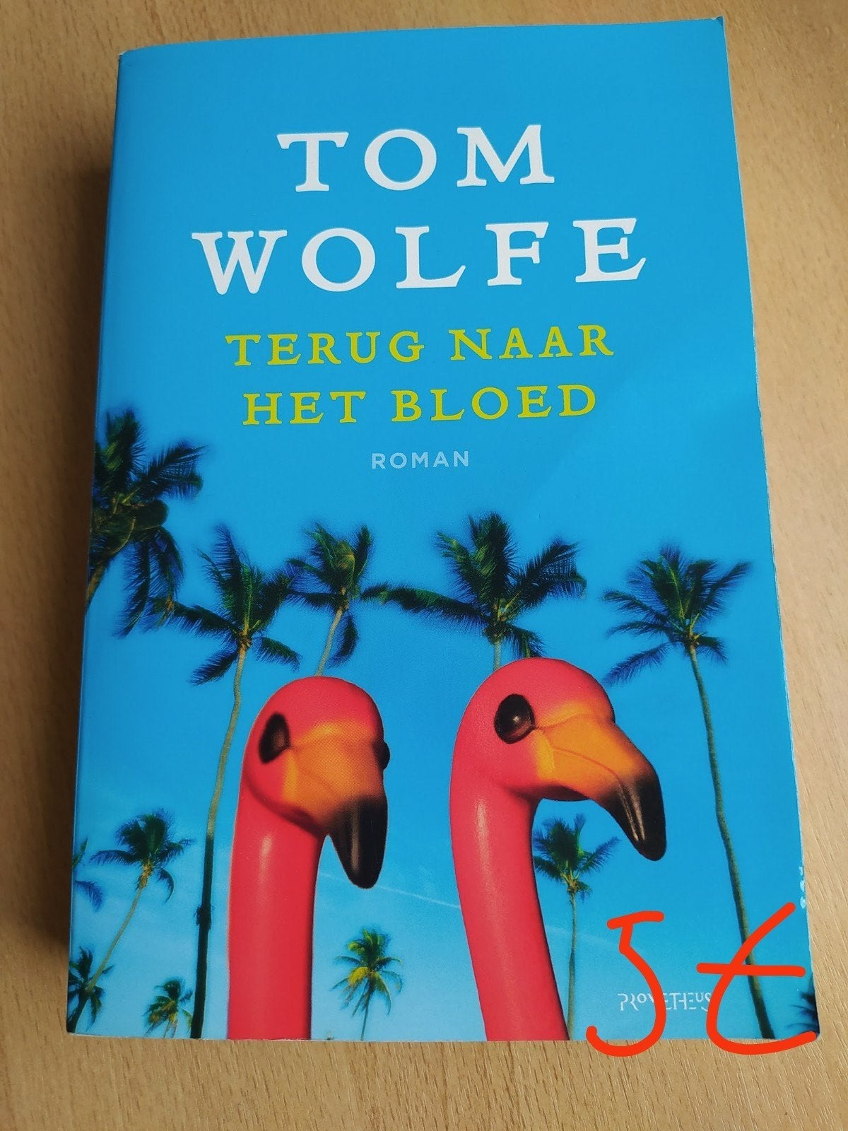 Tom Wolfe: Terug naar het bloed 

Vertaald in het Nederlands, Ophalen of Verzenden
