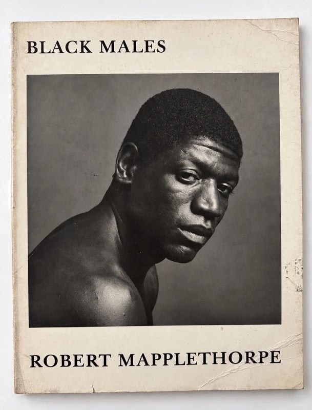 Catalogus met zeldzame zwarte mannen - Robert Mapplethorpe, Boeken, Gelezen, Robert Mapplethorpe, Fotografie algemeen, Ophalen of Verzenden
