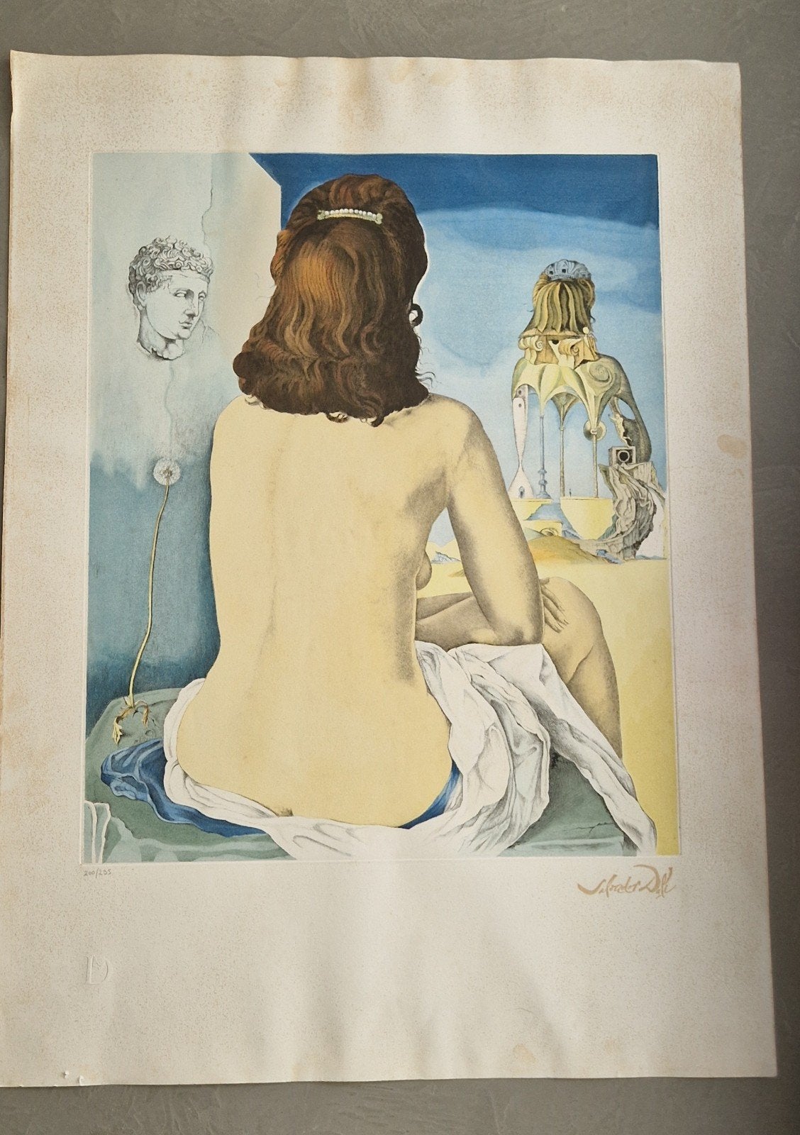 Lithographie de Salvador Dali, Antiquités & Art, Enlèvement