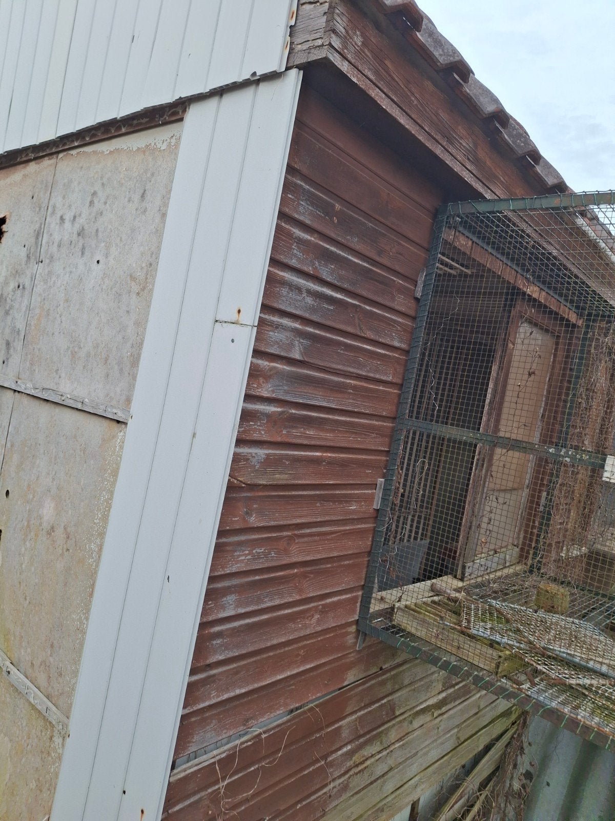 Duiven hok voor afbraak met veel herbruikbaar hout., Ophalen of Verzenden, Hout