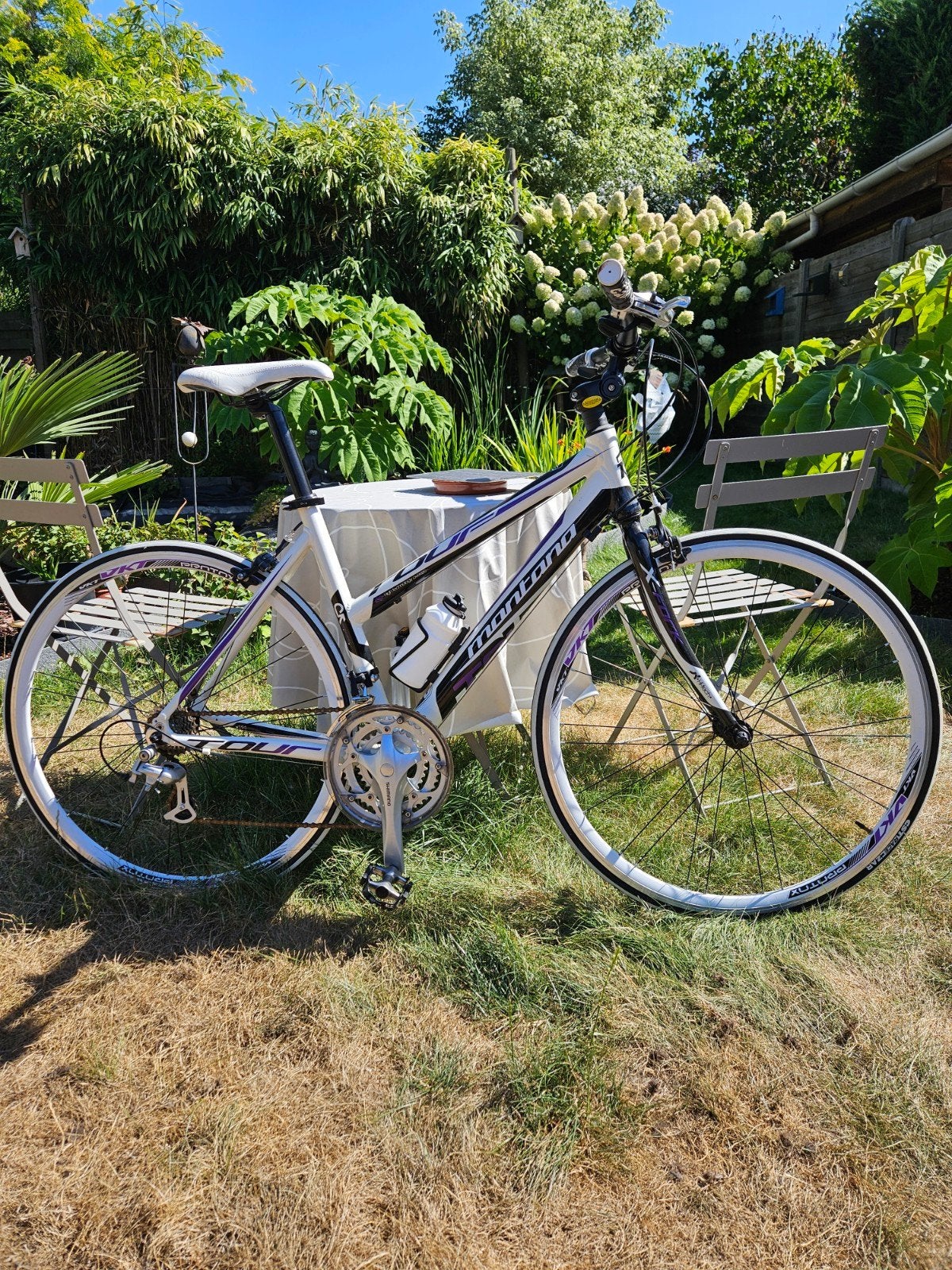 Dames fiets, Minder dan 10 versnellingen, Velgrem, 47 tot 50 cm, Nieuw