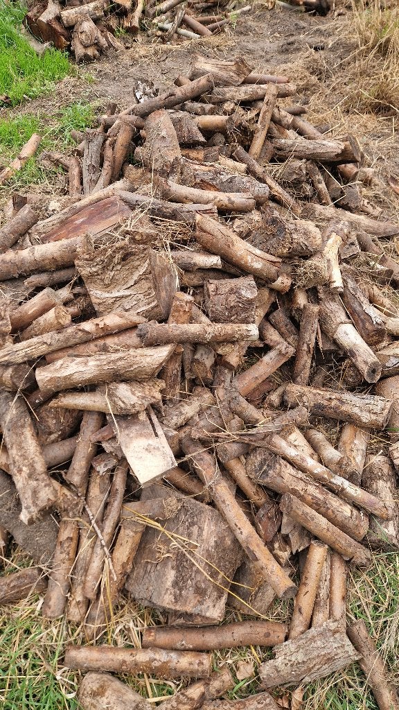 Brandhout 30 euro per cube., Enlèvement, Autres essences de bois