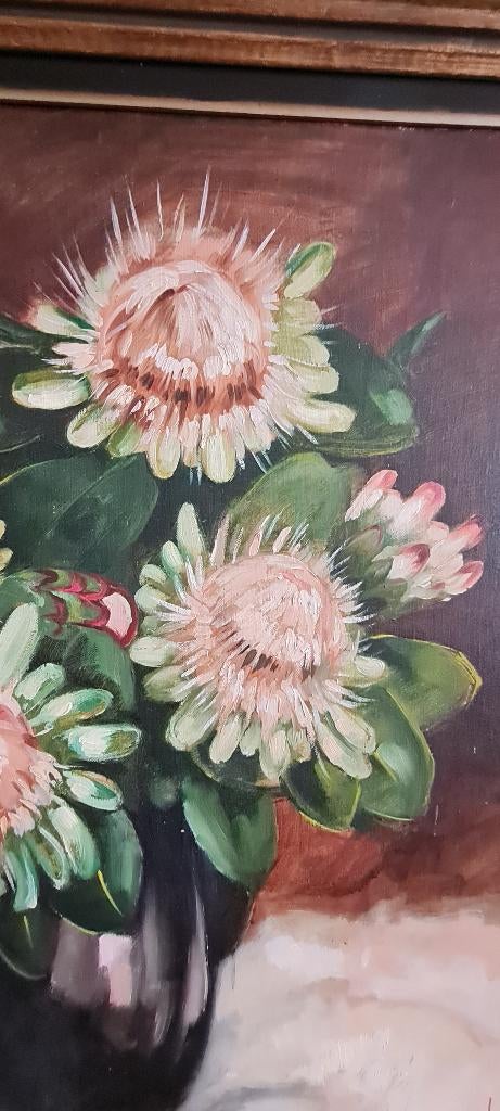 Pas une vie silencieuse, mais une vie explosive Pink Proteas, Enlèvement ou Envoi