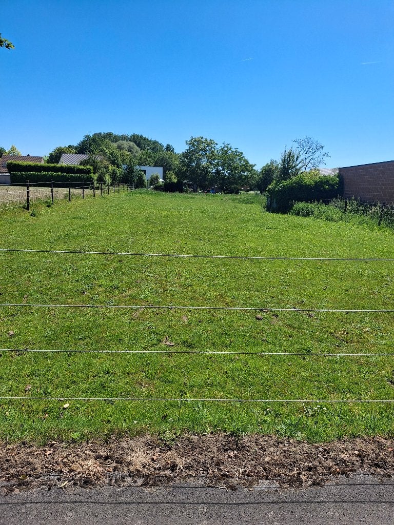 Paardenwei, Dieren en Toebehoren, Stalling en Weidegang, 1 paard of pony