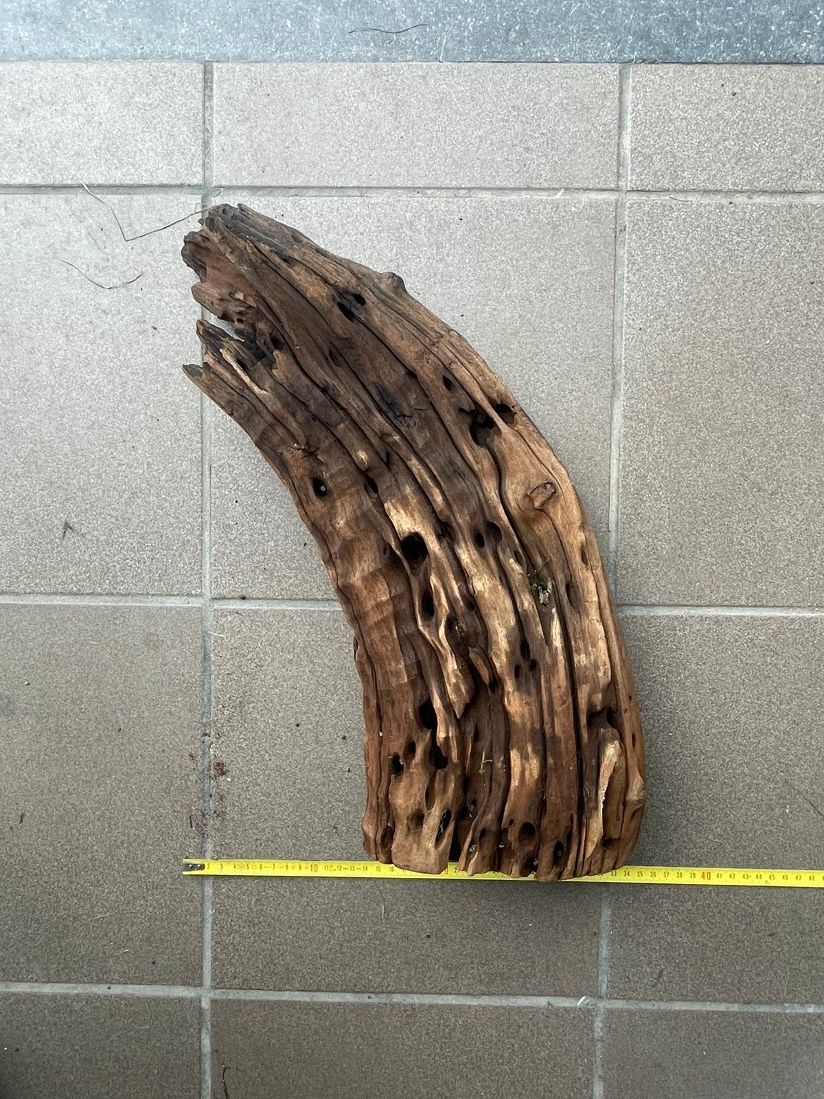 Groot stuk Aqurium hout, Dieren en Toebehoren, Ophalen, Zo goed als nieuw, Plant(en), Steen of Hout