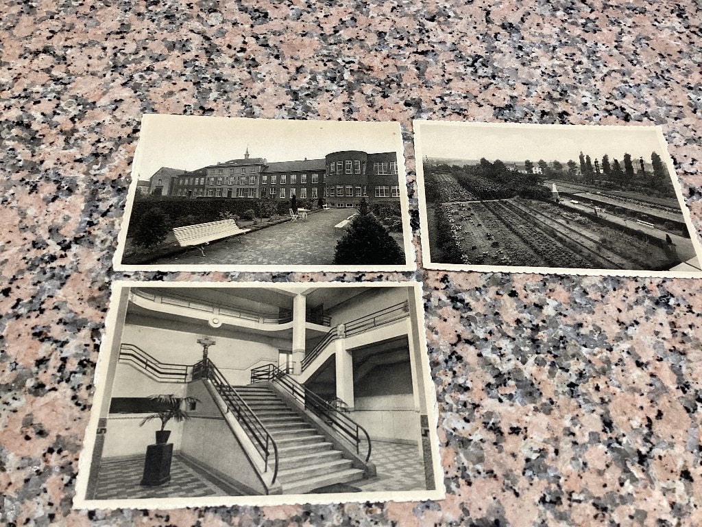 Lot van 3 oude postkaarten pensionaat St Bernard Bassevelde, Verzamelen, Ophalen of Verzenden, 1940 tot 1960, Ongelopen, Gebouw
