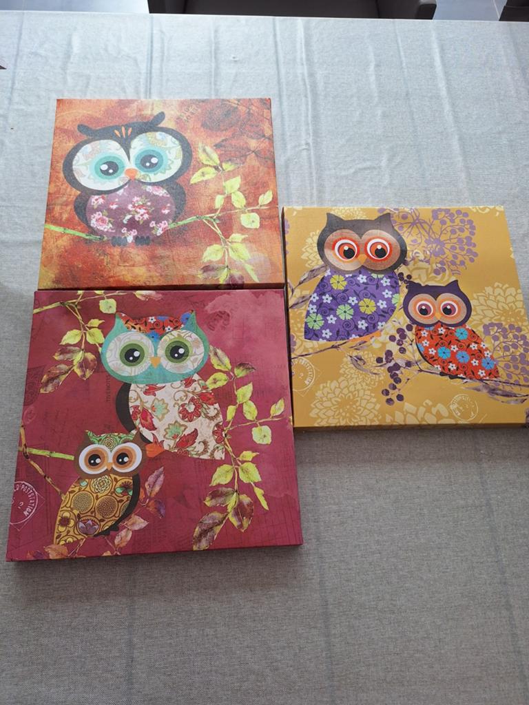 Canvasdoeken uil, Huis en Inrichting, Woonaccessoires | Schilderijen, Tekeningen en Foto's, Ophalen