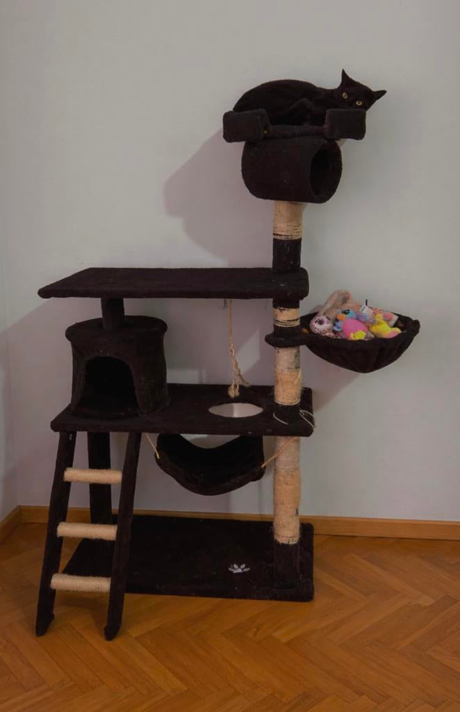 Grote kattenboom, Ophalen, Zo goed als nieuw