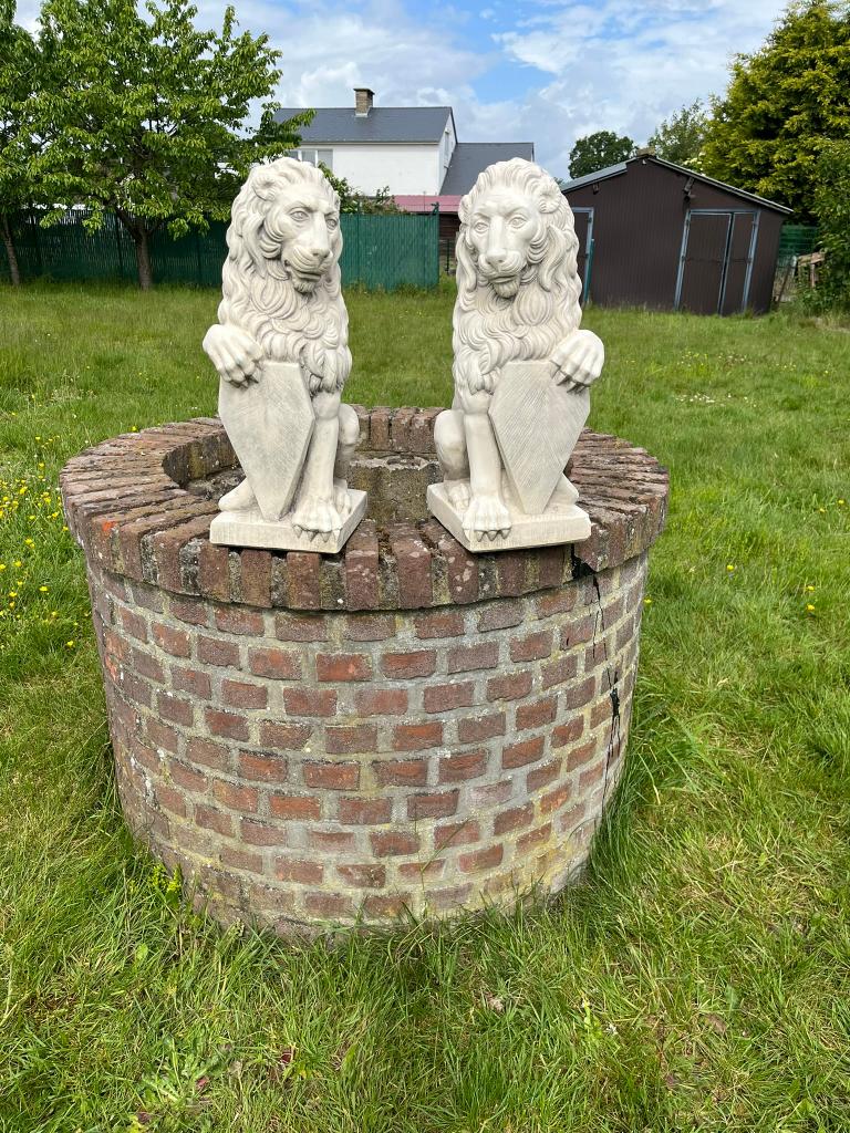 Set van 2 grote stenen leeuwenbeelden / tuin   60 cm, Tuin en Terras, Ophalen, Gebruikt, Steen, Dierenbeeld