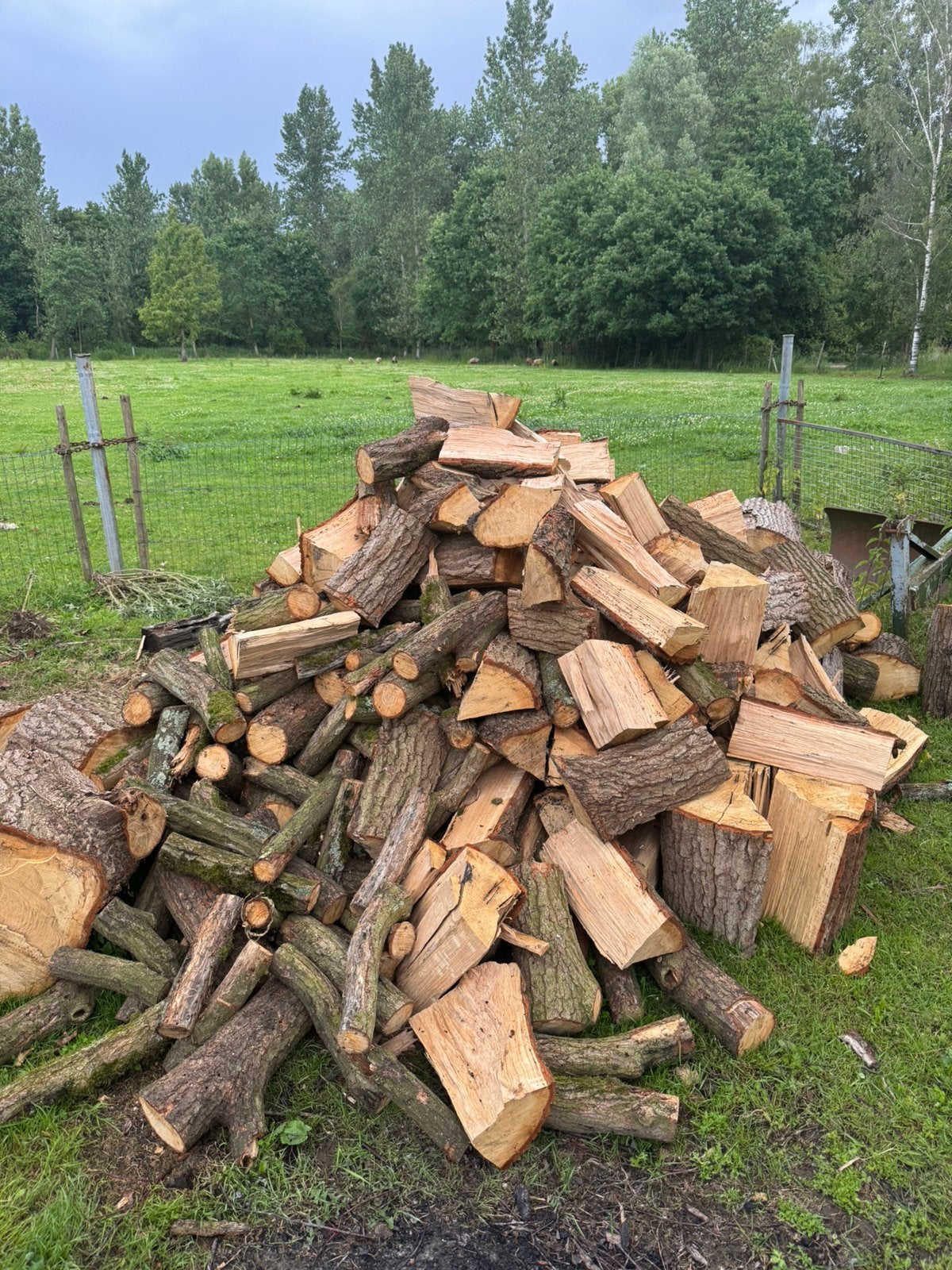 Brandhout, Tuin en Terras, Brandhout, Ophalen, Eikenhout