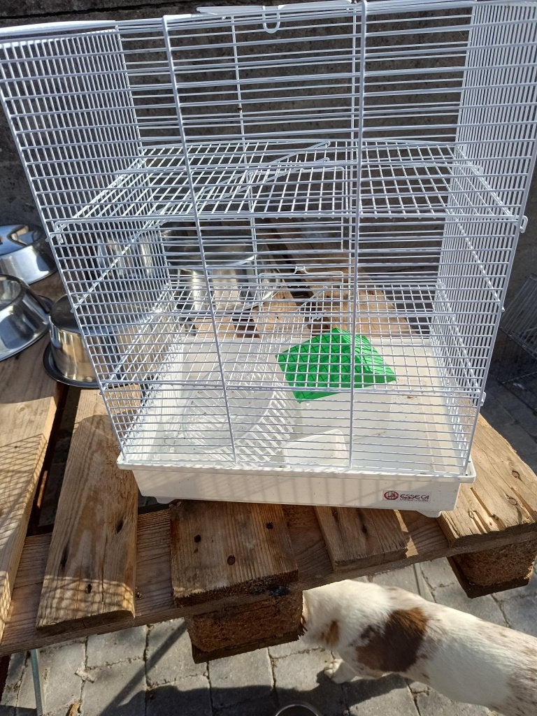 Nieuwe hamsterkooi, Animaux & Accessoires, Neuf, Moins de 60 cm, Cage, Hamster