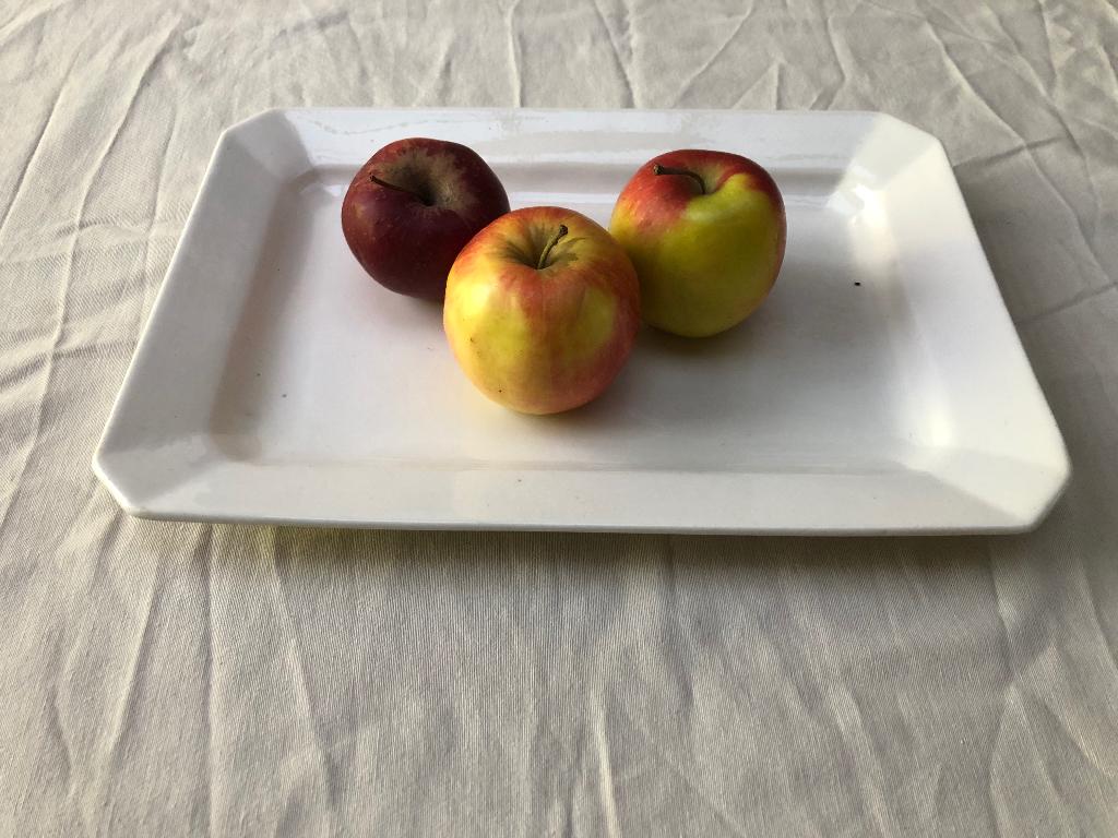 Rechthoekige schaal, Enlèvement ou Envoi, Porcelaine ou Céramique, Utilisé, Rectangulaire