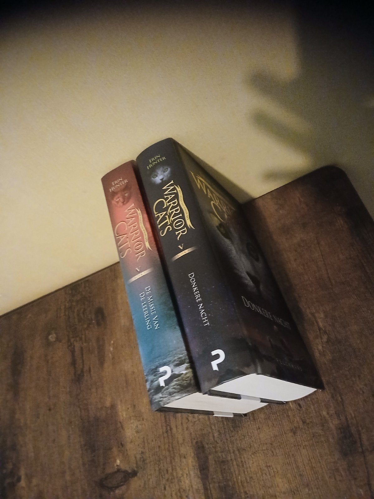 Warrior Cats, Livres, Fantastique, Enlèvement