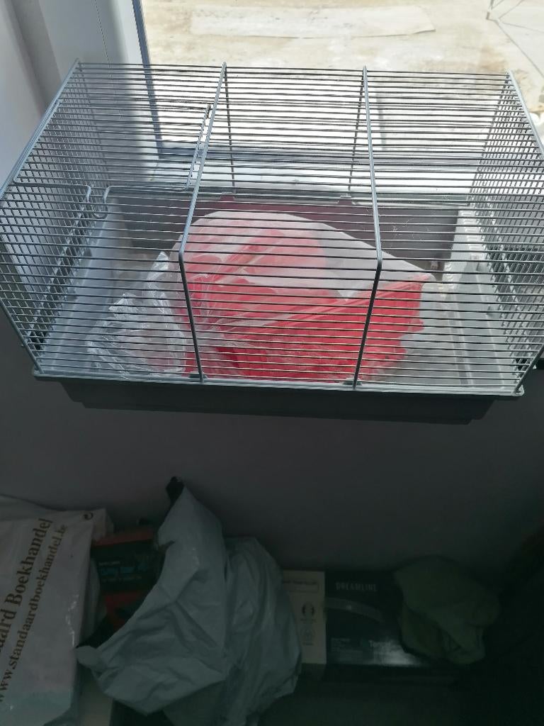 klein hamsterkooi, Enlèvement, Neuf, Cage, Hamster