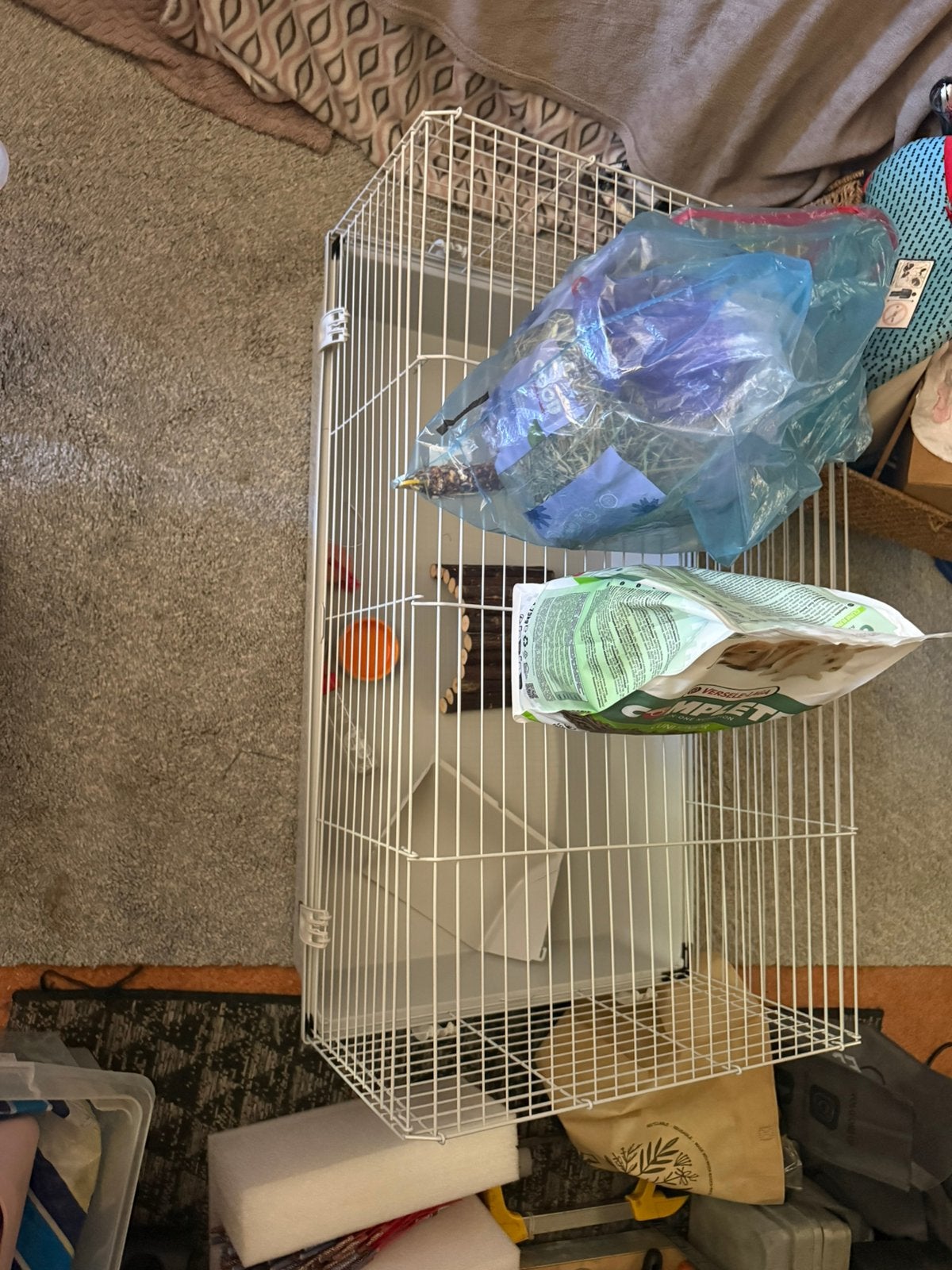 Les lapins sont nouveaux, Animaux & Accessoires, Enlèvement, Comme neuf, Autres types