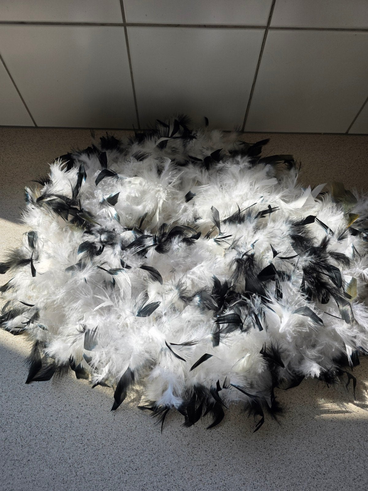 boa voor verkleedparty, Kleding | Dames, Ophalen
