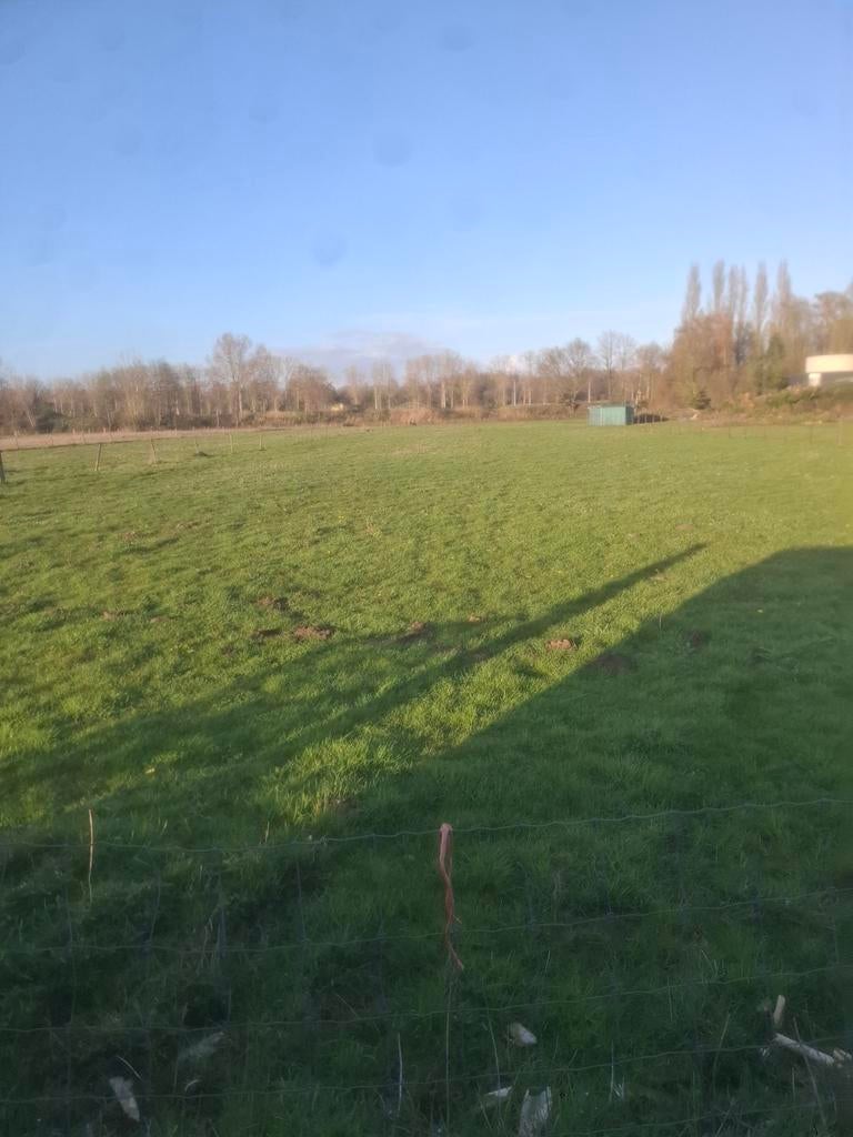 Weide, Dieren en Toebehoren, Stalling en Weidegang