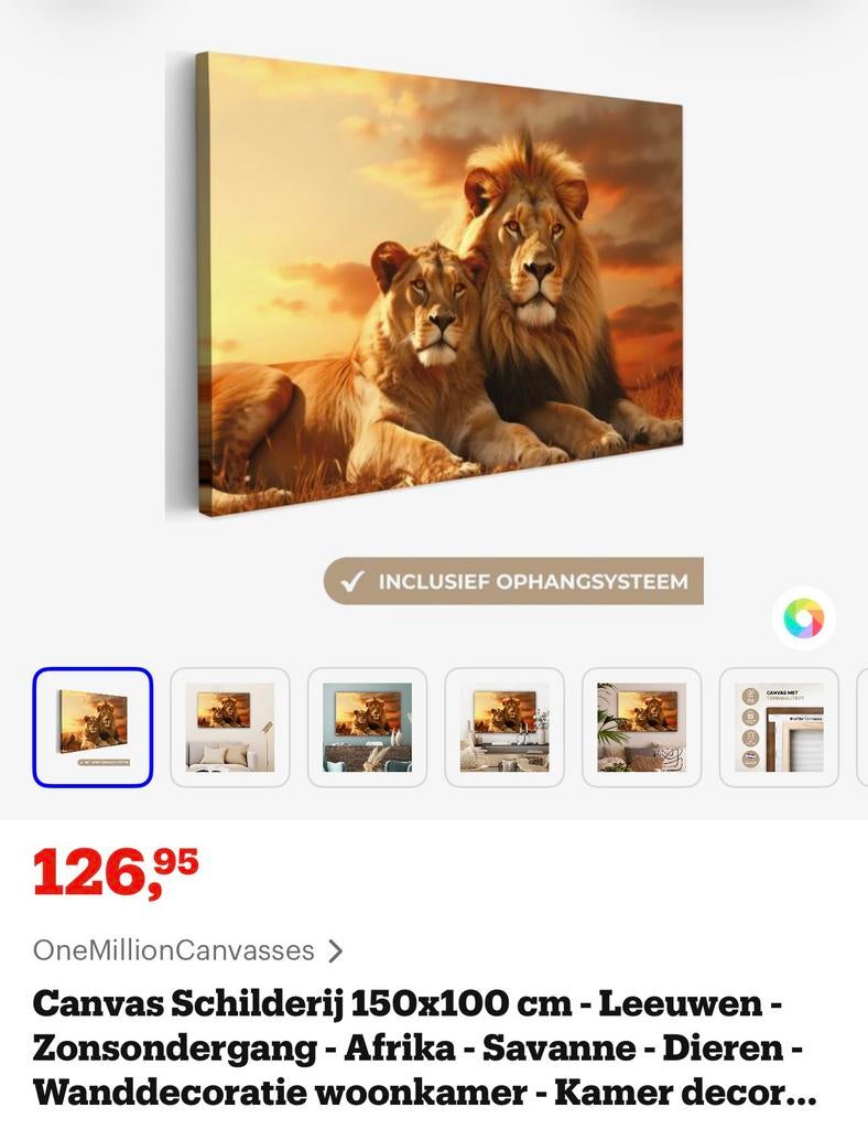 Canvas schilderijen 150x100 cm, Huis en Inrichting, Woonaccessoires | Schilderijen, Tekeningen en Foto's, Ophalen, Oorspronkelijke maker