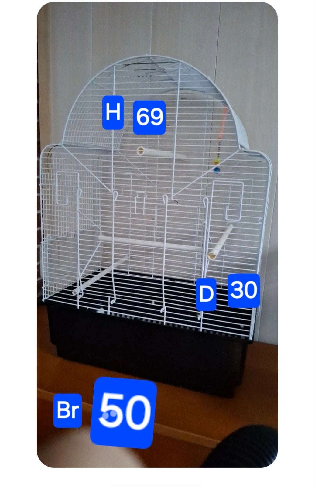 Vogelkooien in zeer goede staat Aalter, Vakantie