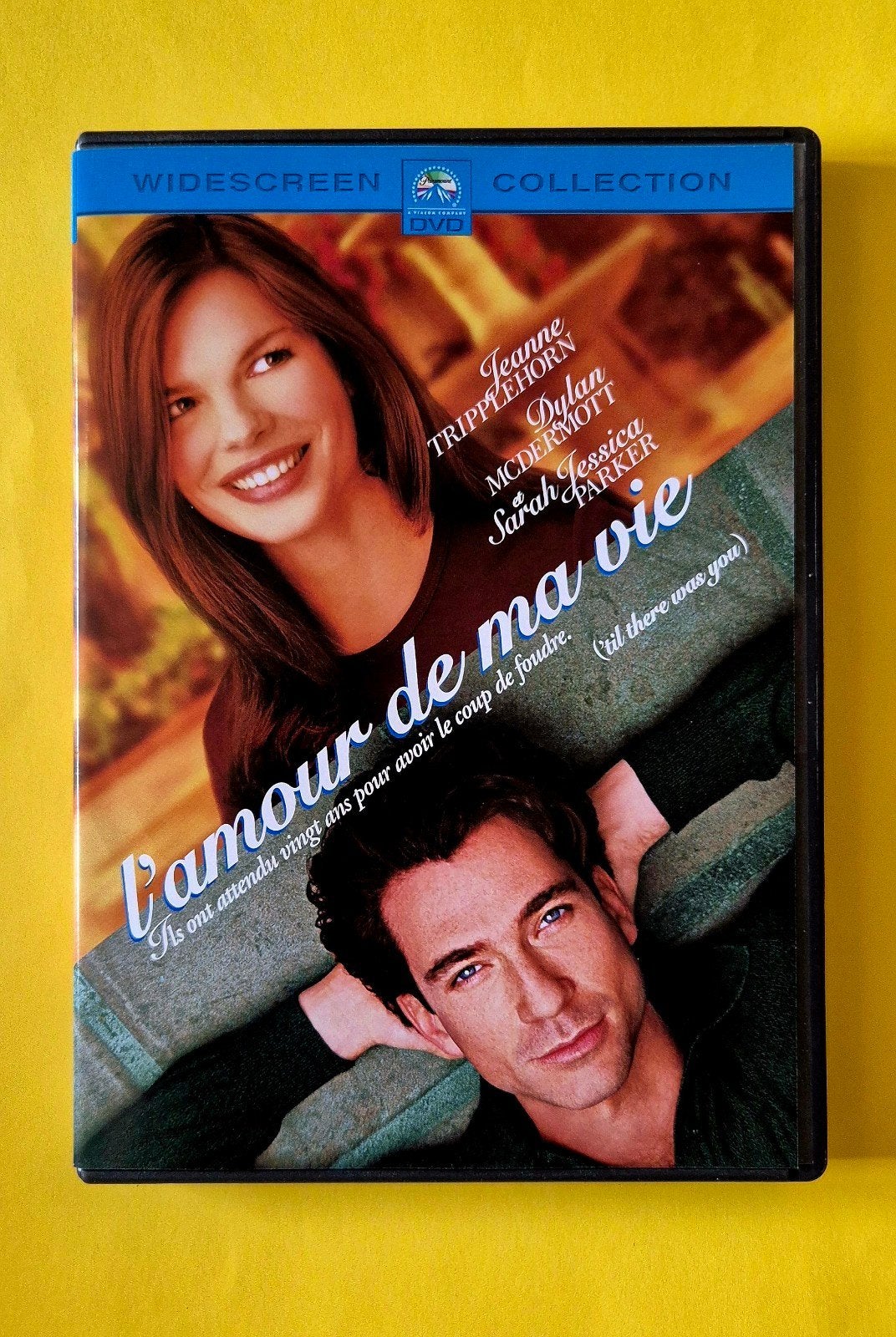 DVD 📀 L'amour de ma vie - Jeanne Tripplehorn V, CD & DVD, DVD | Comédie, Tous les âges, Enlèvement ou Envoi, Utilisé, Comédie romantique