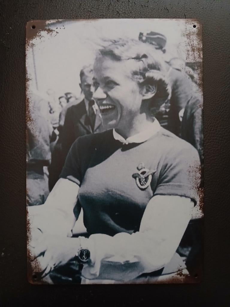 Hanna Reisch, Enlèvement ou Envoi