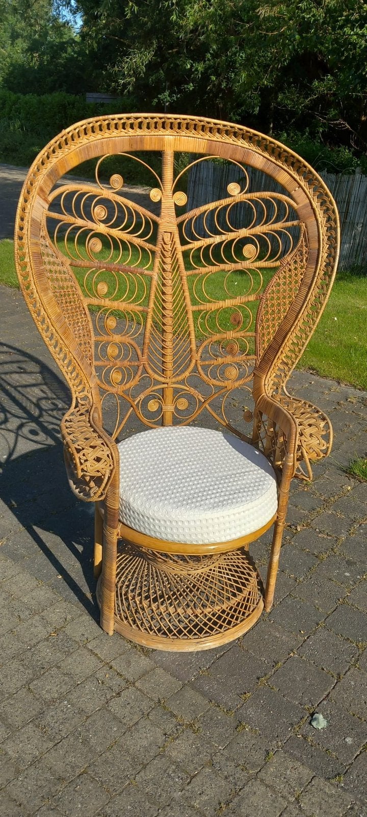 Prachtige peacock chair, Ophalen of Verzenden, Zo goed als nieuw