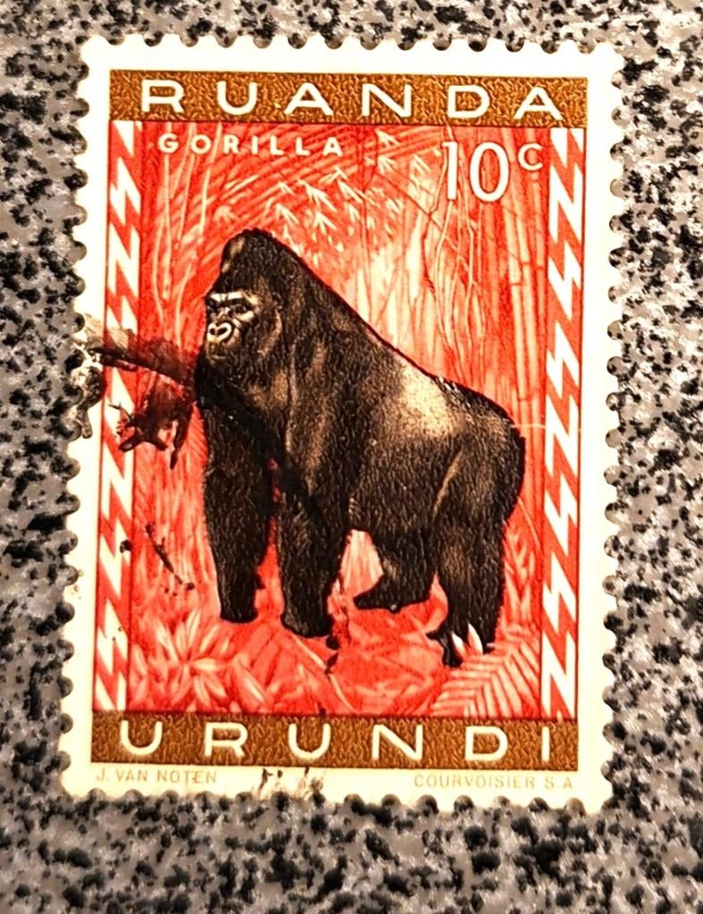 Postzegel Ruanda-Urundi OBP 205, gestempeld, Ophalen of Verzenden, Gestempeld