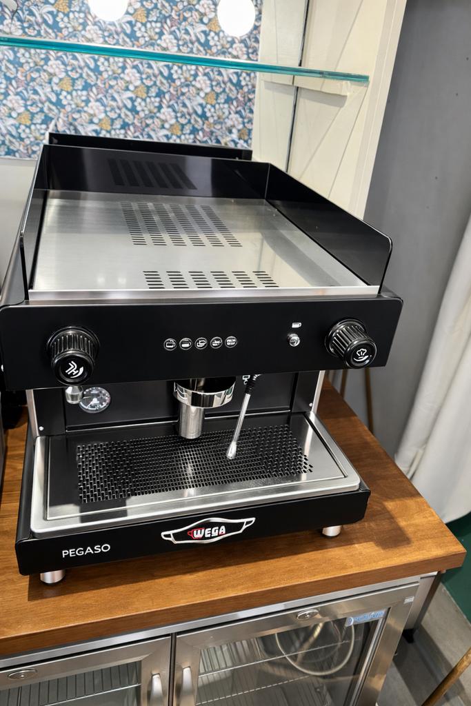 Wega Pegaso EVD 1 Group Espresso Machine, Electroménager, Cafetières, Enlèvement, Comme neuf
