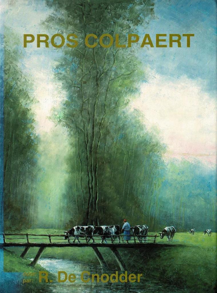 Pros Colpaert  -  Remi de Cnodder, Livres, Art & Culture | Arts plastiques, Utilisé, Enlèvement ou Envoi