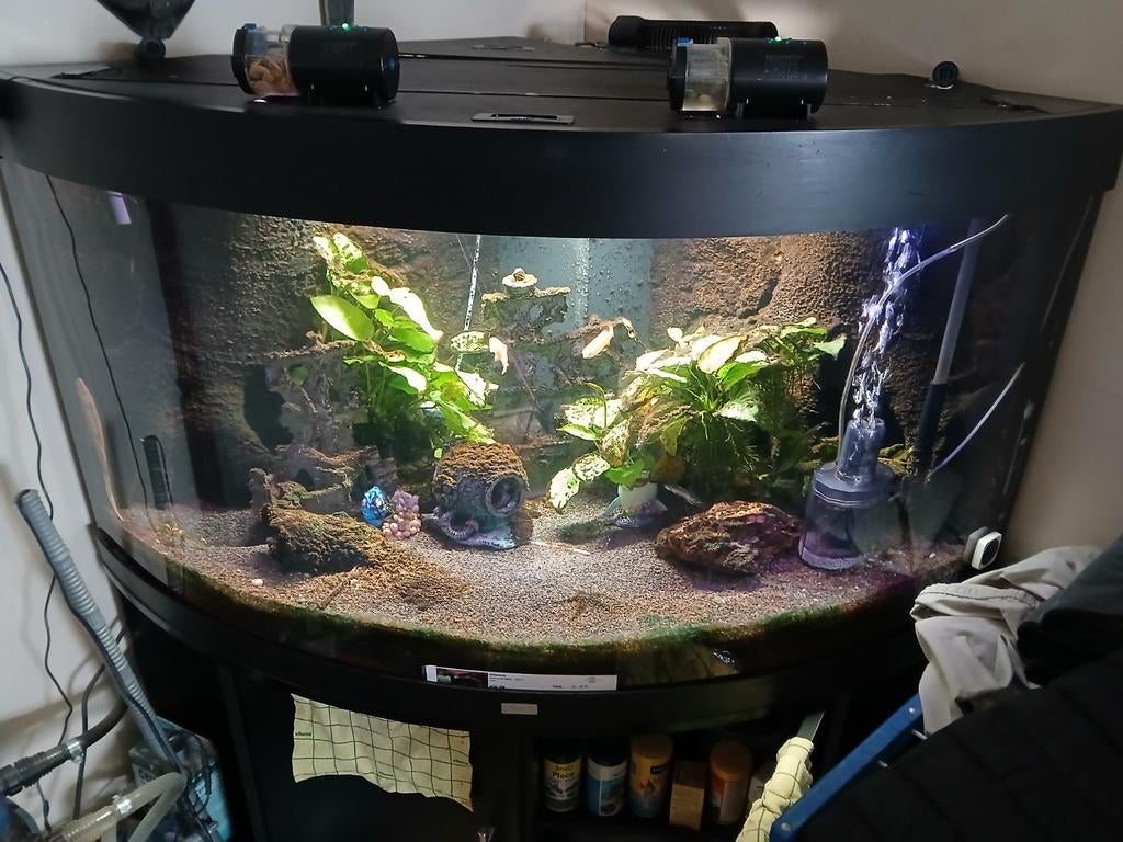Aquarium juwel 360L hoekmodel, Dieren en Toebehoren, Vissen | Aquaria en Toebehoren, Ophalen