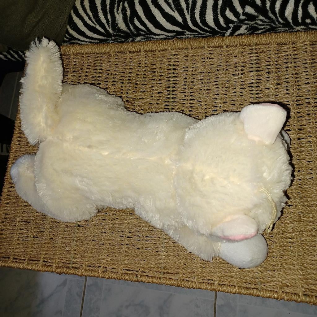 Knuffel poes/ kat, Ophalen of Verzenden, Zo goed als nieuw