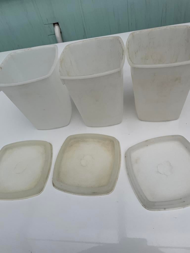 Lot de 3 boîtes en plastique utilisées (congélateur), Enlèvement