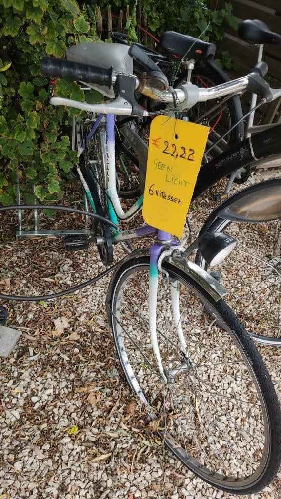 Velo vo 't wuuf. Ook vo ne dikke. Studenten velo?, Fietsen en Brommers, Fietsen | Dames | Omafietsen, Ophalen