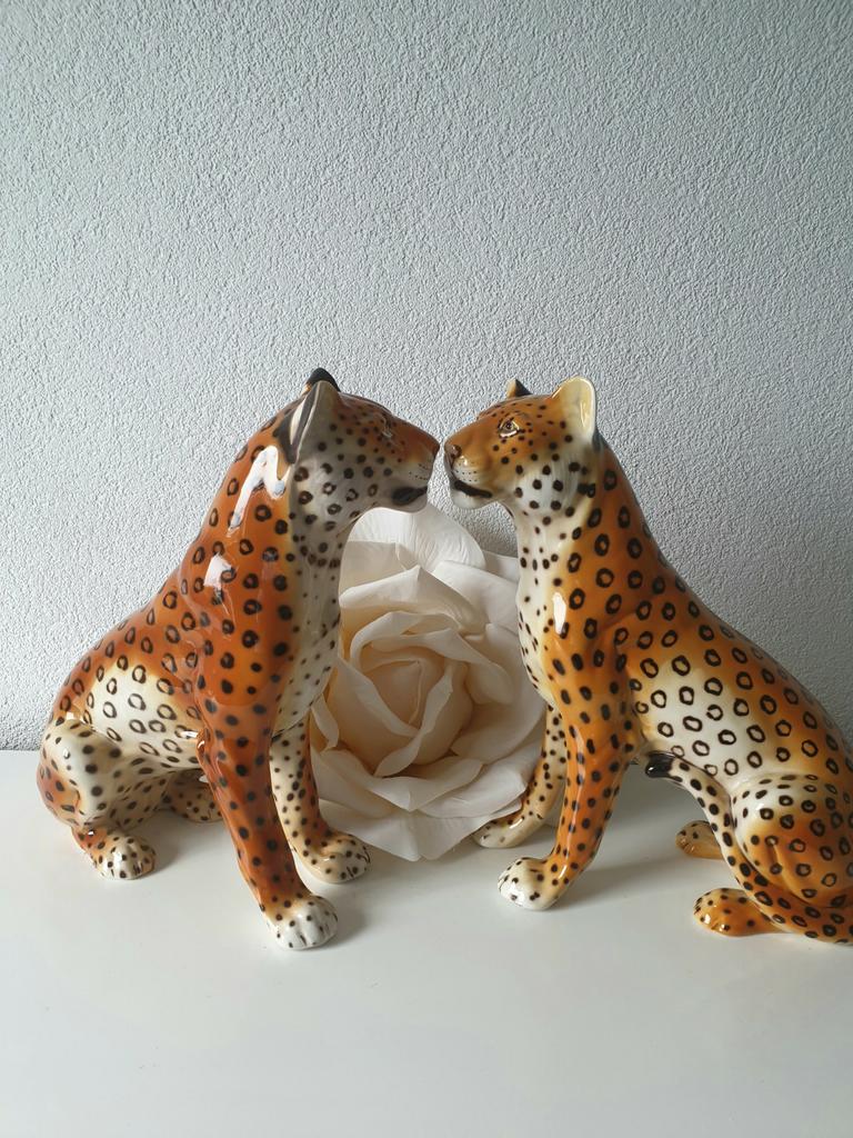 Ronzan panter, Ophalen of Verzenden, Zo goed als nieuw