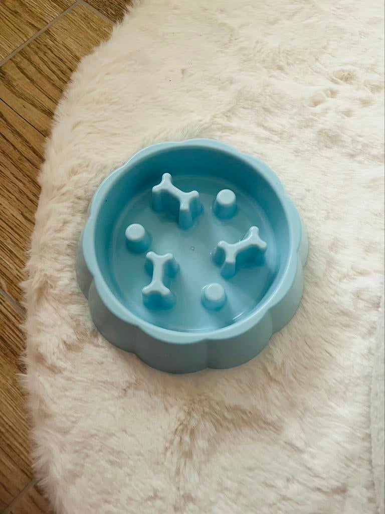 Accessoires chien animaux, Enlèvement ou Envoi