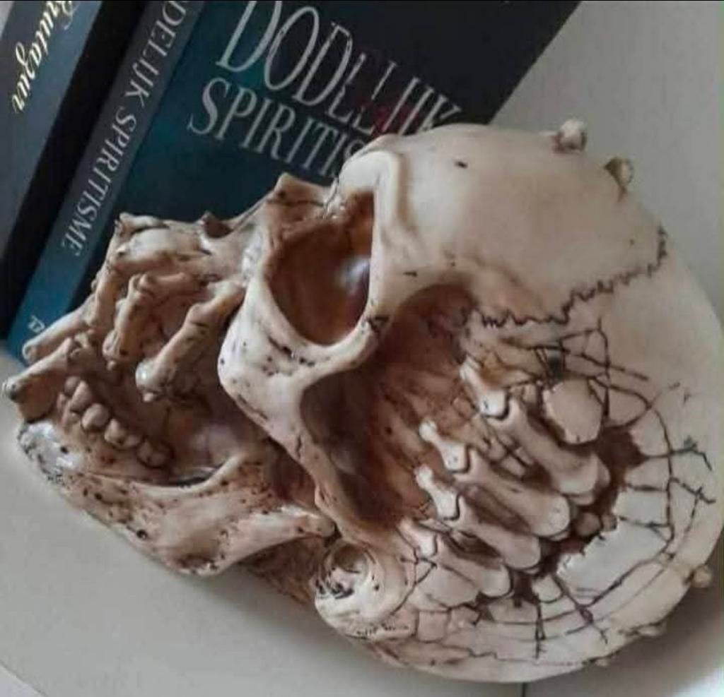 Skull, Antiek en Kunst, Ophalen