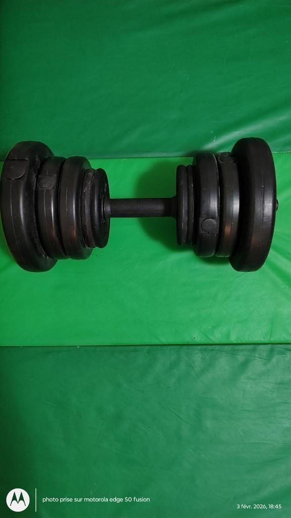 Haltère réglable Domyos – Poids multiples inclus, Sports & Fitness, Haltère